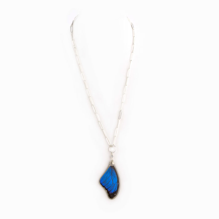 Sterling silver paperclip chain necklace with bright blue butterfly wing inlaid in acrylic.
